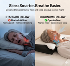 Dormelio™ Butterfly Pillow